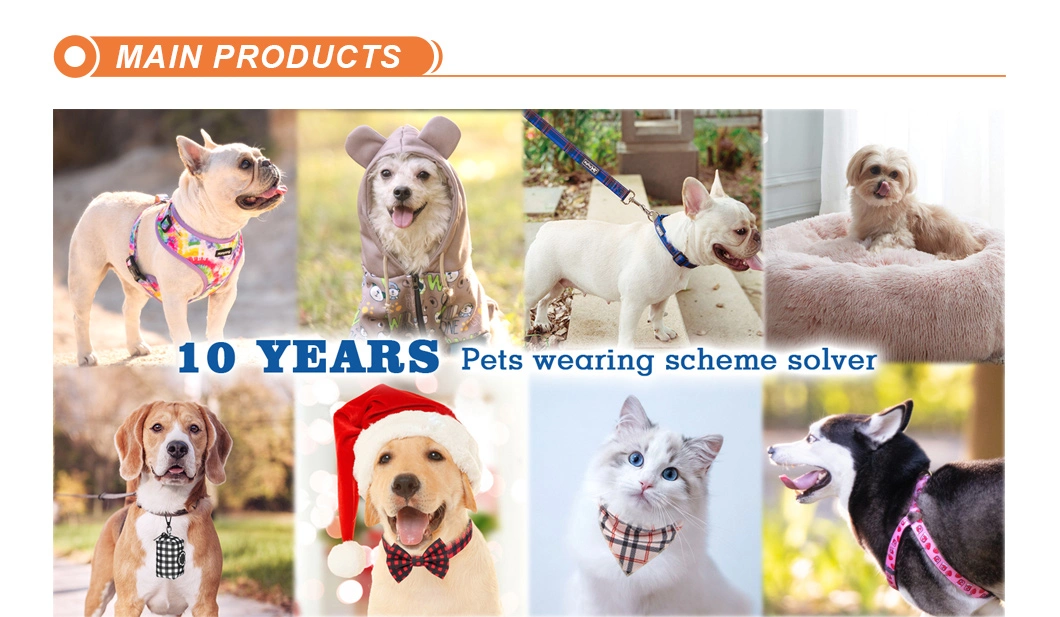 Hanyang Hot Selling Biothane Waterproof Dog Collar Custom Designer Dog Collar PVC Dog Collar with Metal Buckle