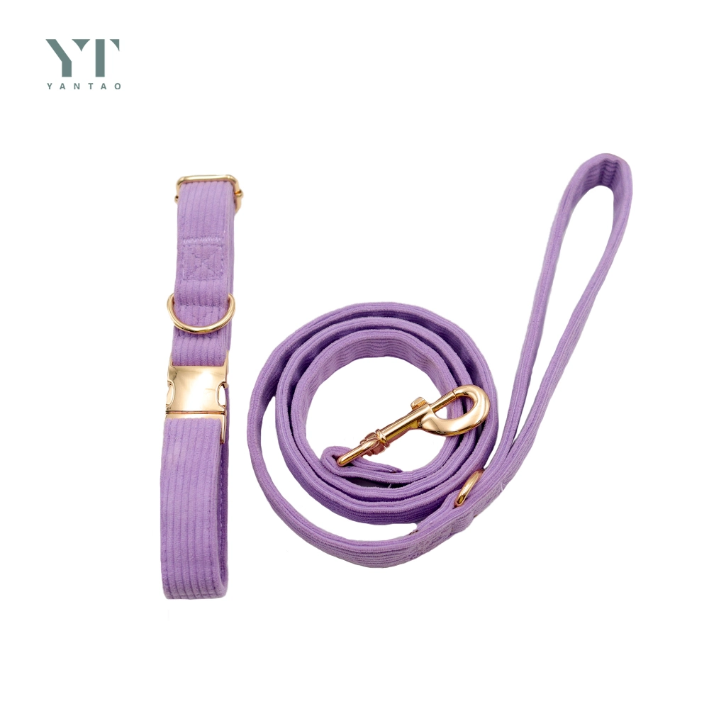 Luxury Custom High Quality Purple Corduroy Pet Bag and Collar Set Padded Long Line Leads Dog Vest Carrier Dog Collar for Dogs
