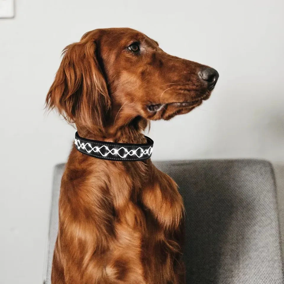 Custom Embroidered LED Pet Collars Adjustable LED Dog Collar