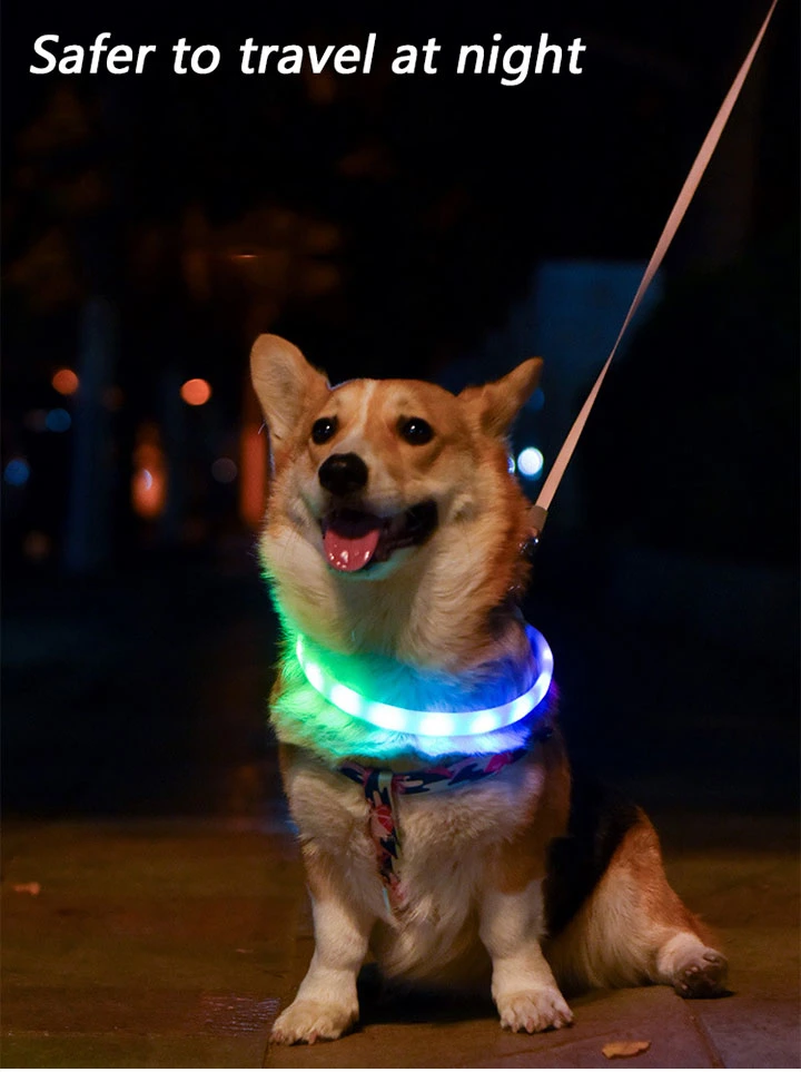 New Arrival Fluorescent Night Light up Adjustable LED Dog Collar