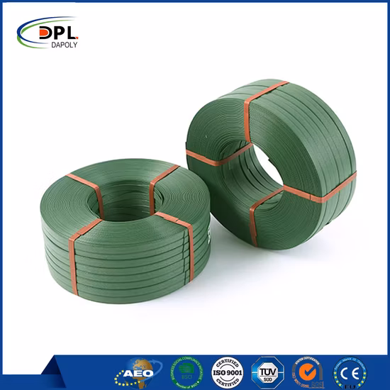 Factory PP Polypropylene Webbing Tape PP Strapping Tape Colorful Webbing for Bag Strap Global Sale