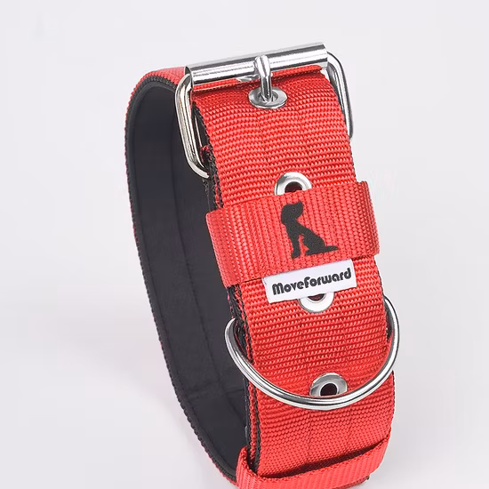 Petisland Free Sample Pet Products Wholesale Pet Collar Factory Price Custom Braided Dog Training Collar Nylon Dog Collar with Stainless Buckle