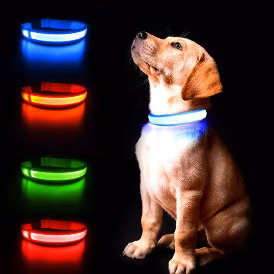 New Factory Wholesale LED Pet Collar Rechargeable