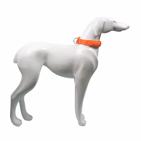 Customable Pet Products Reflective Nylon Dog Collar with Metal Buckle